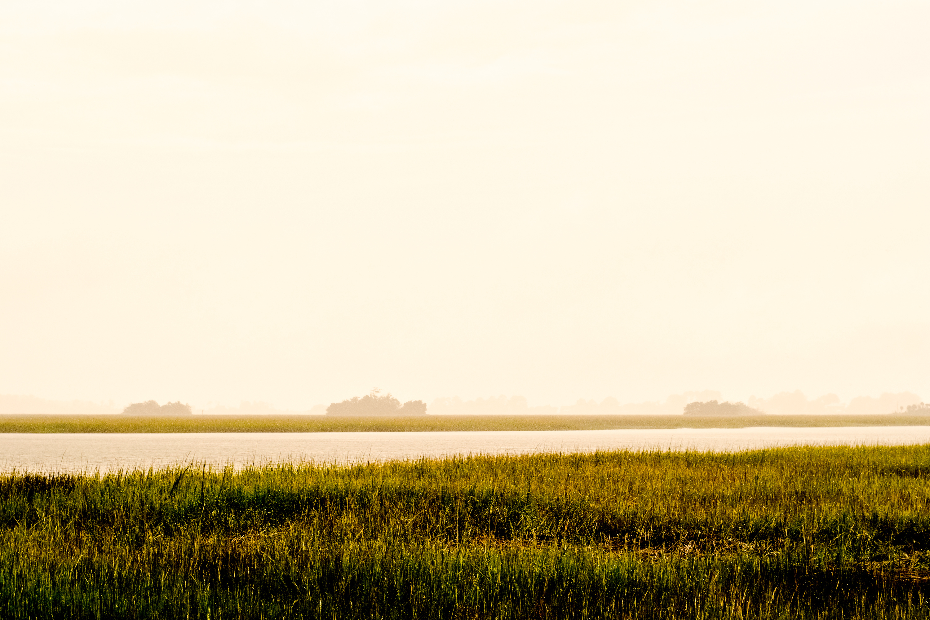 Lowcountry landscape just outside of Savannah, Georgia